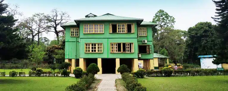 Exploring the Wild: Unleashing the Thrills of Jungle Safari in West Bengal