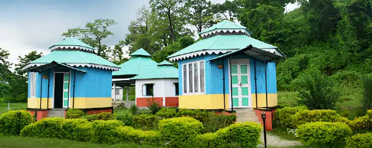 Exploring the Wild: Unleashing the Thrills of Jungle Safari in West Bengal