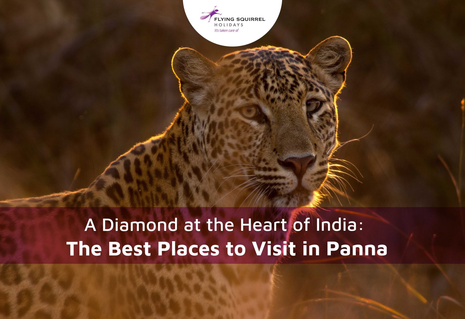 A Diamond at the Heart of India: The Best Places to Visit in Panna