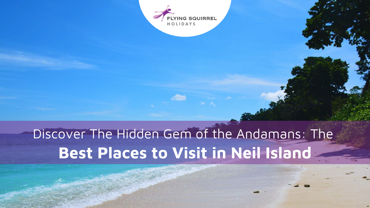Best Places to Visit in Neil Island