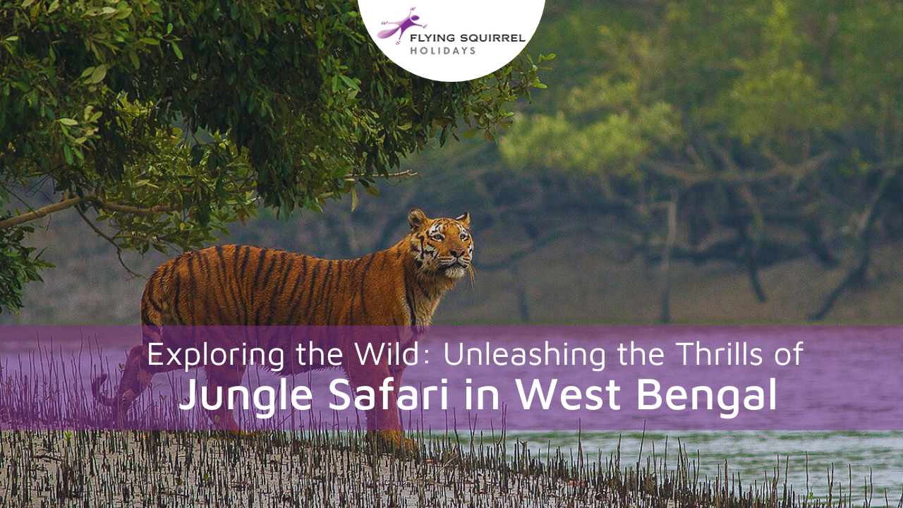 Jungle Safari in West Bengal