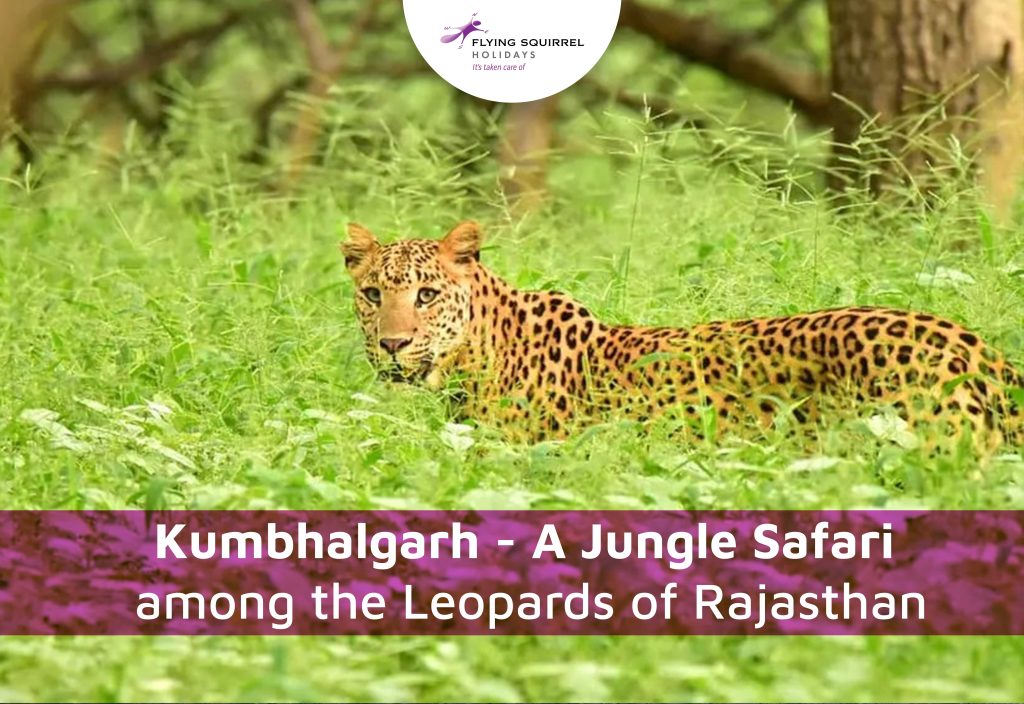 kumbhalgarh jungle safari online booking