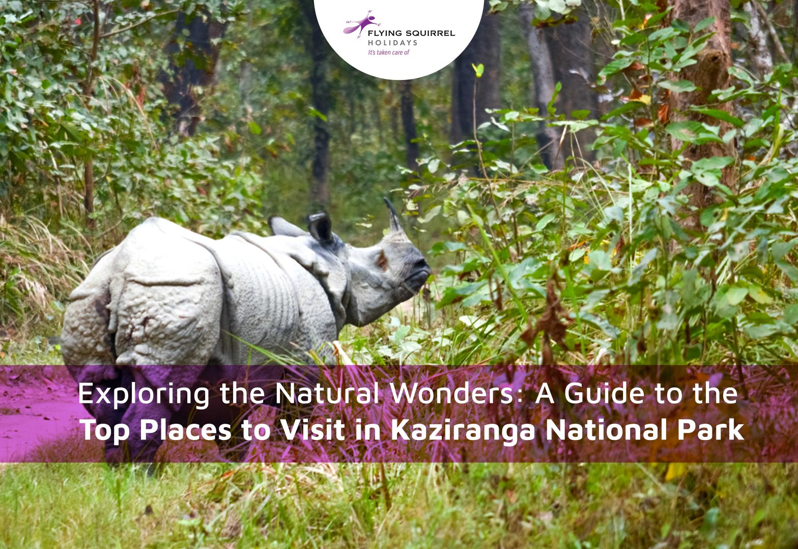 places to visit in Kaziranga