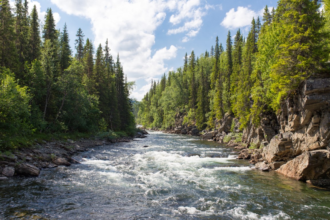 Frothy tree-lined stream in Gäddede, Sweden