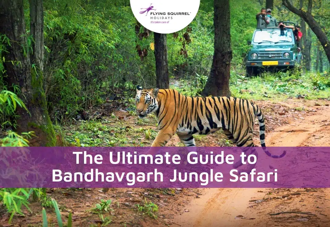 The Ultimate Guide to Bandhavgarh Jungle Safari