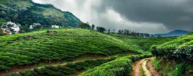 6 Best Places To Visit In Rainy Season in Kerala