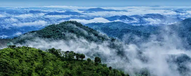 6 Best Places To Visit In Rainy Season in Kerala