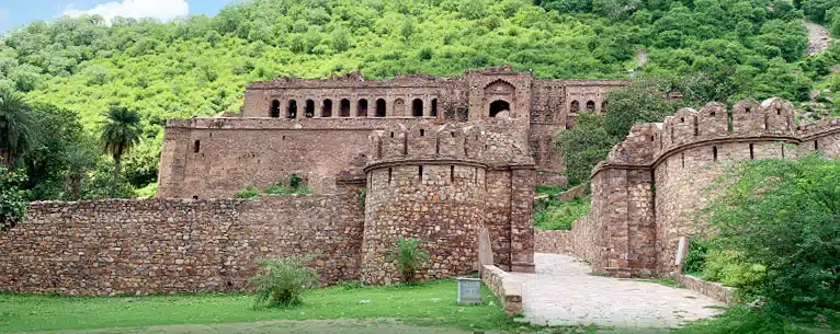 The Ultimate Guide to Bandhavgarh Jungle Safari