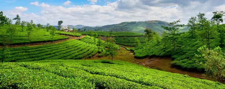 6 Best Places To Visit In Rainy Season in Kerala