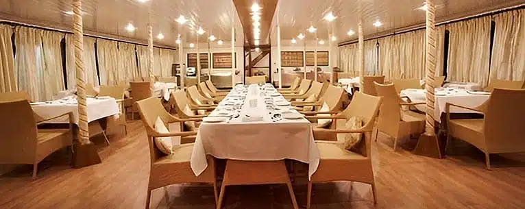 Luxury Travel In India 