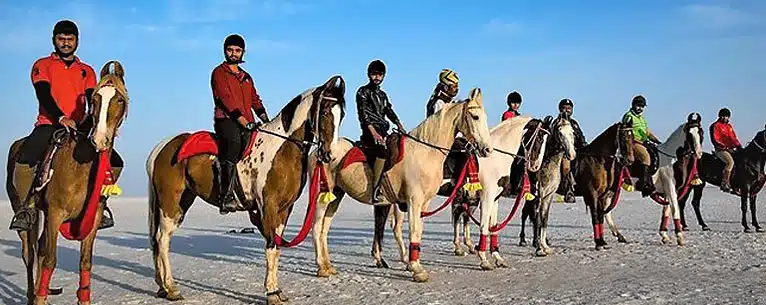 Luxury Travel In India 
