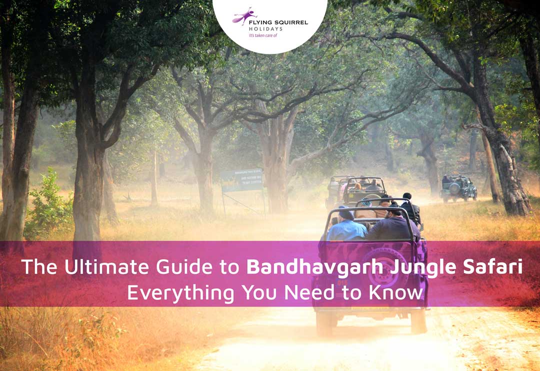 The Ultimate Guide to Bandhavgarh Jungle Safari: Everything You Need to Know