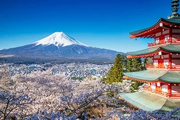 JAPAN CHERRY BLOSSOMS HOLIDAY