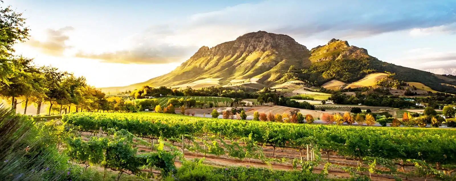 STUNNING SOUTH AFRICA 07 Nights Tour