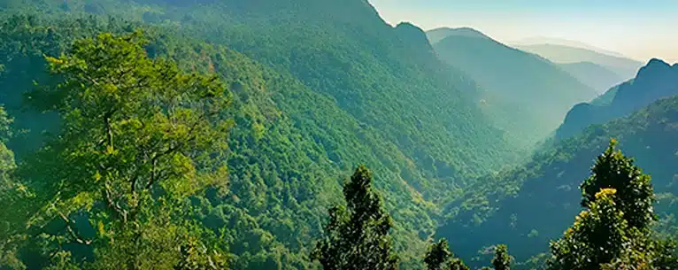 Hidden Gems: The Top Hill Stations in Odisha