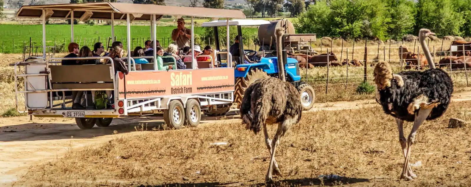 Oudtshoorn