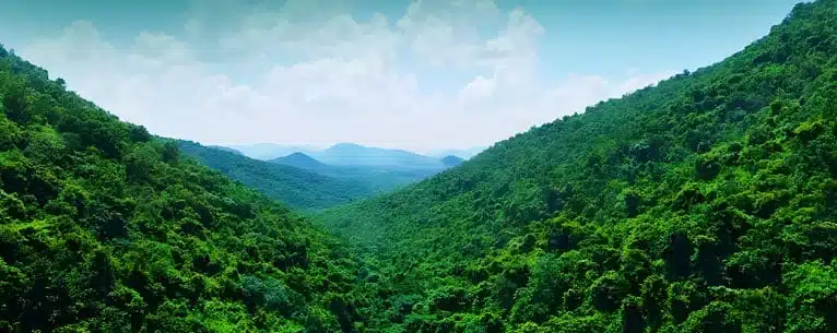 Hidden Gems: The Top Hill Stations in Odisha