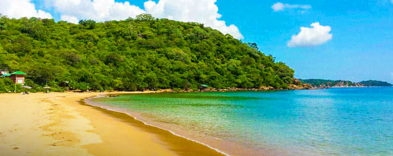All You Need To Know About Whale Watching In Sri Lanka