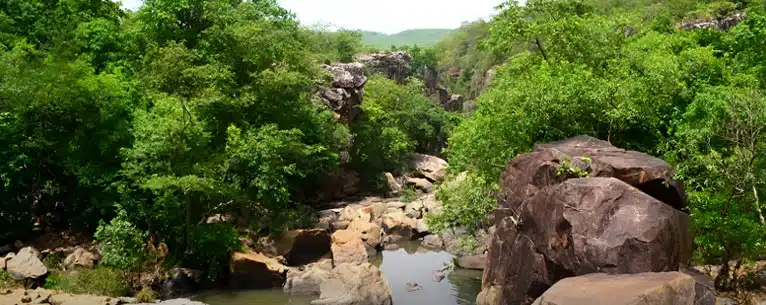 Hidden Gems: The Top Hill Stations in Odisha