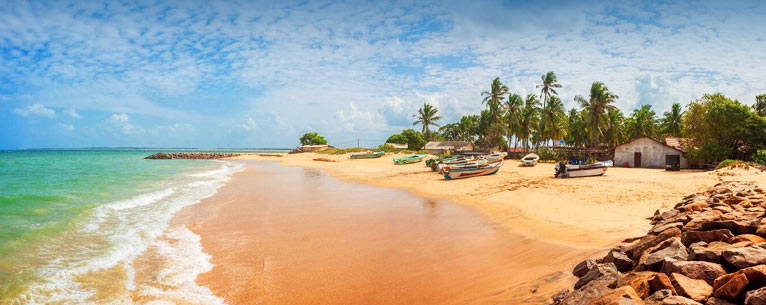 All You Need To Know About Whale Watching In Sri Lanka