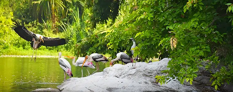 Wildlife Tourism in India