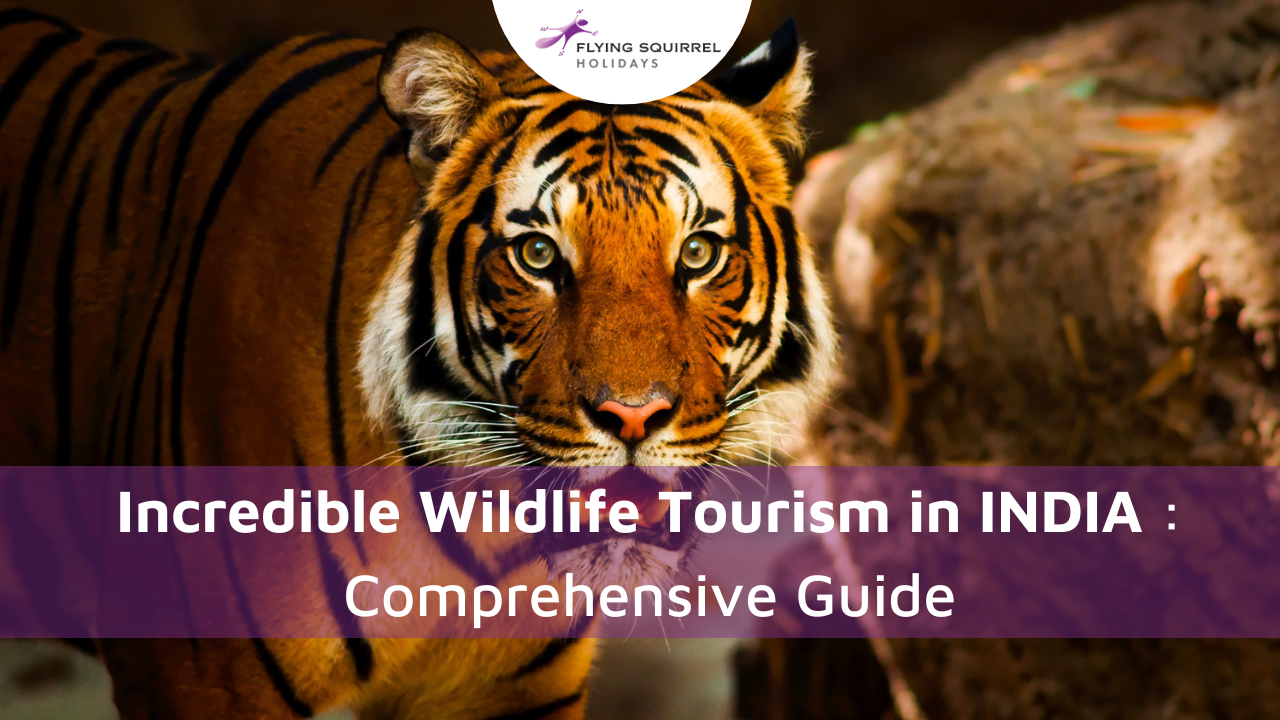 Wildlife Tourism in INDIA