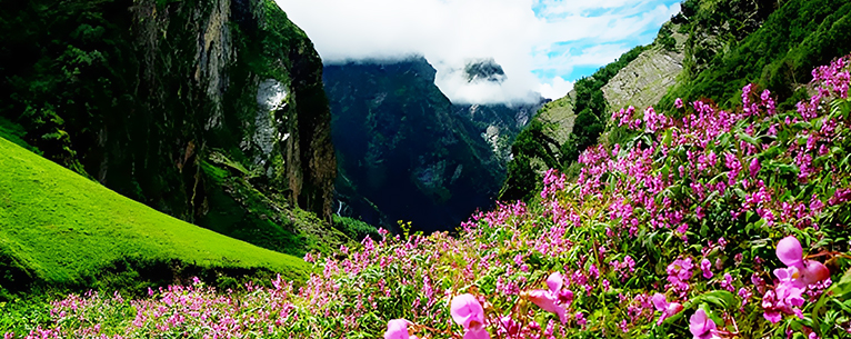 Nanda Devi and Valley of Flowers National Parks