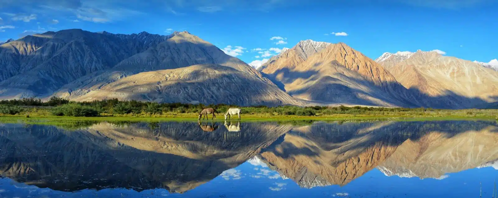 Leh