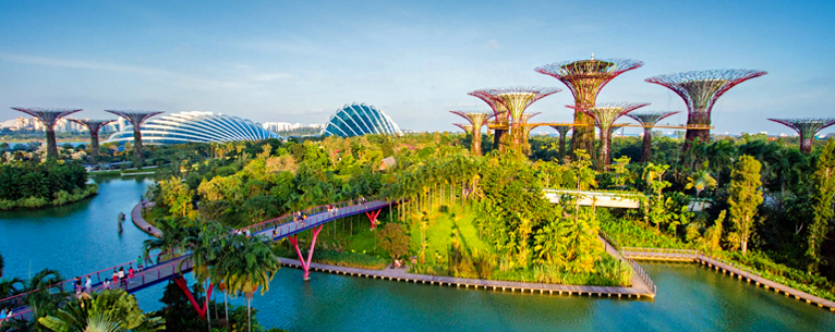 Aerial View of Gardens By The Bay