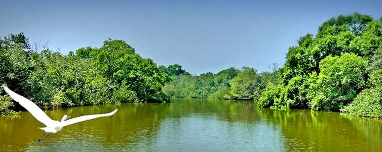 Top 10 Safe Places to Visit in India