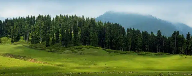 Offbeat Kashmir Itineraries