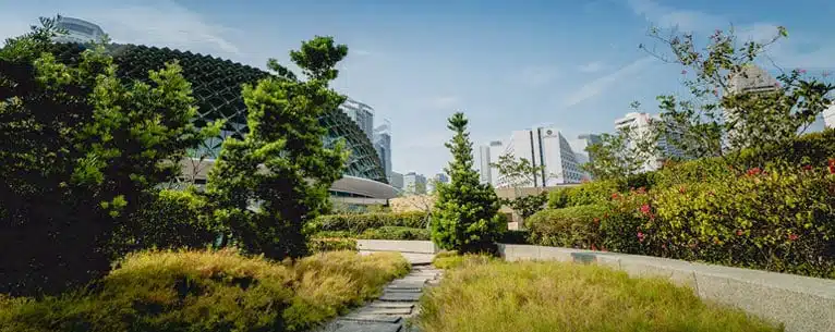 Best Places To Visit In Singapore For Honeymoon