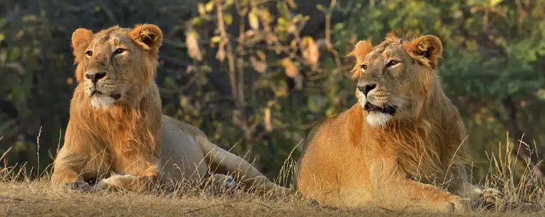 Top 10 Safe Places to Visit in India