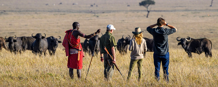 Bush Walking Safari with Masai