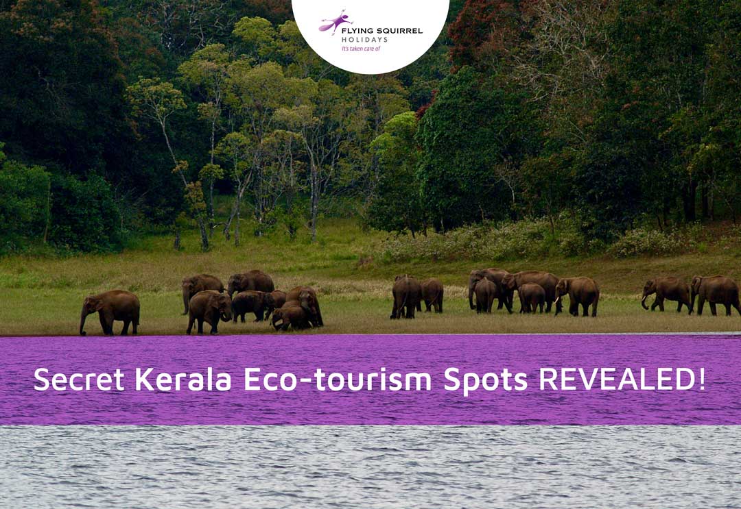 Eco-tourism in Kerala