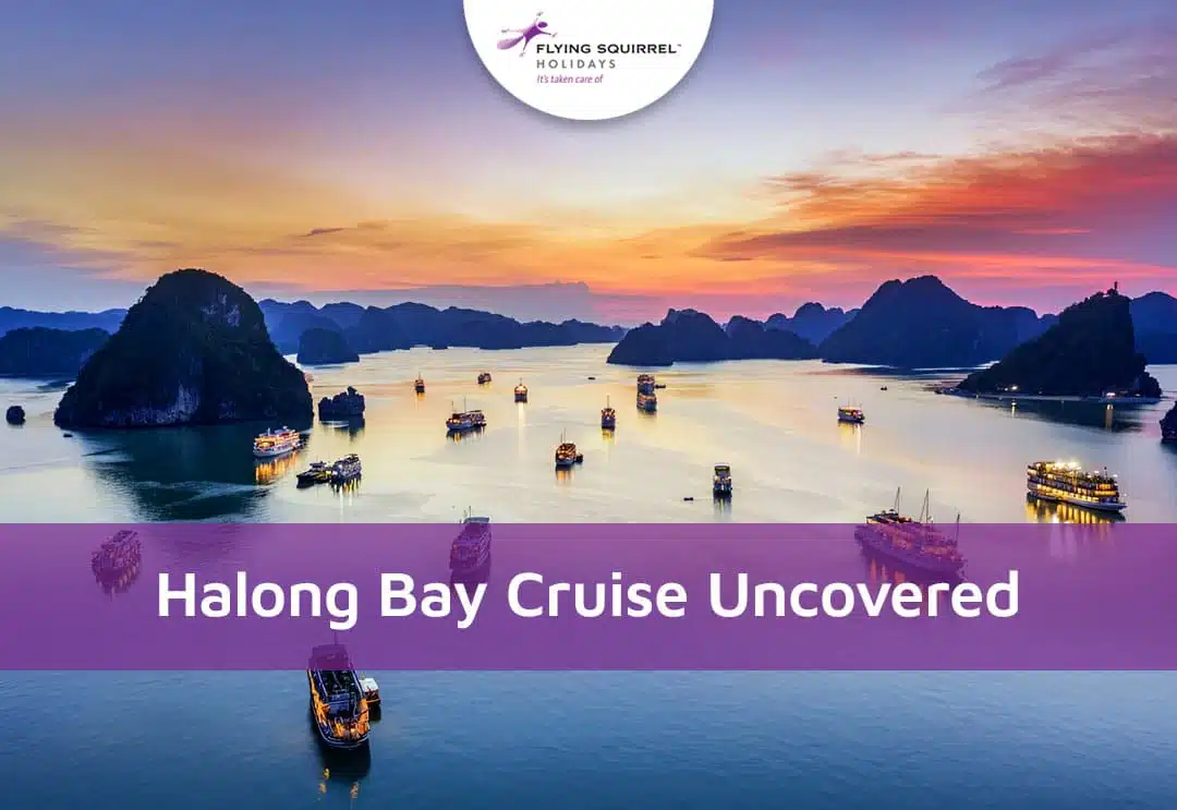 Cruise ships docked in Halong Bay