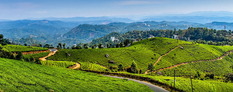 Munnar