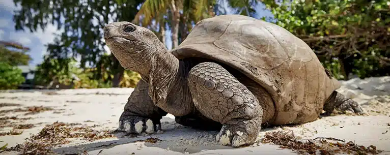 Seychelles - places to visit in seychelles