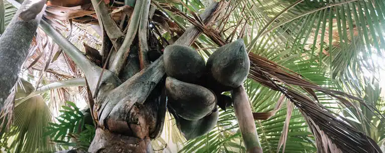 Seychelles - places to visit in seychelles
