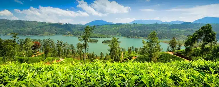 Places to visit in Kandy - Royal Palace of Kandy