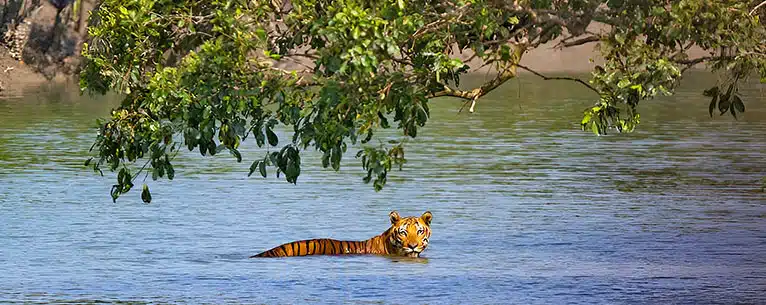 One day trips near Kolkata