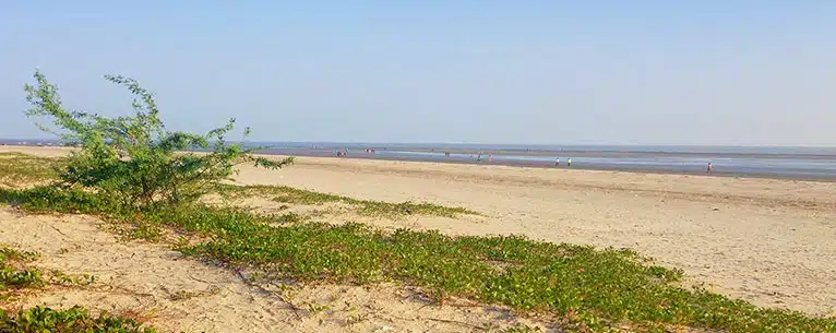 One day trips near Kolkata