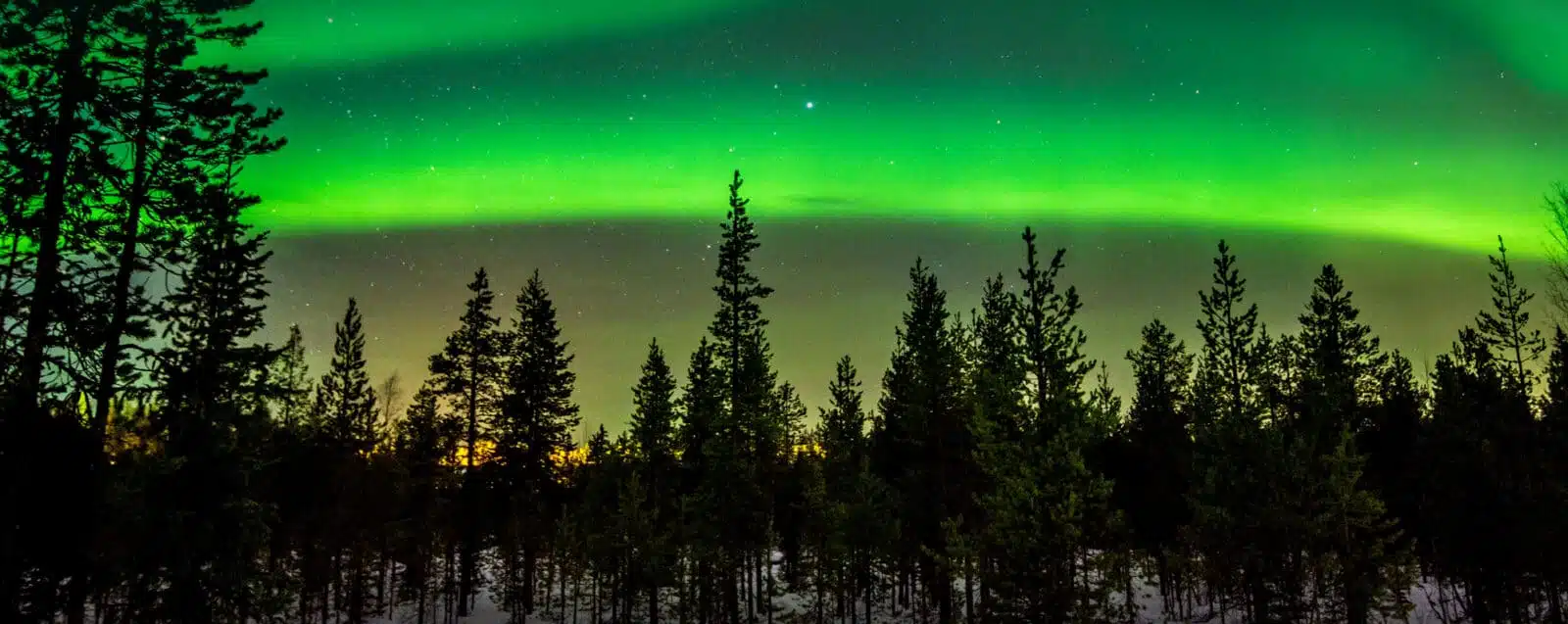 Northern Lights Odyssey In Norway