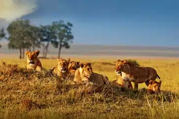 KENYA