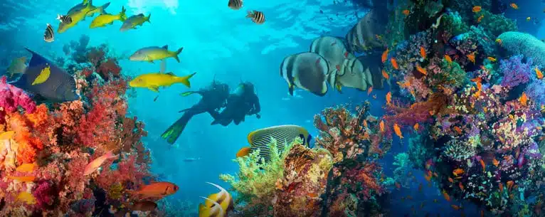 Maldives Honeymoon Package For 7 Days