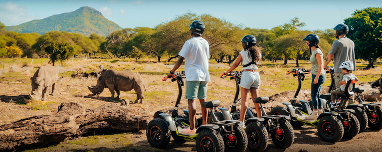 Walk with Lions in Mauritius