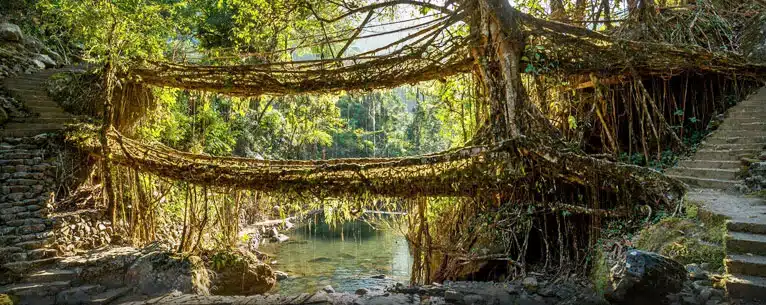 Top 10 Ecotourism Destinations in India