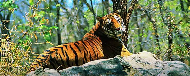 Eco-Tourism in Kerala