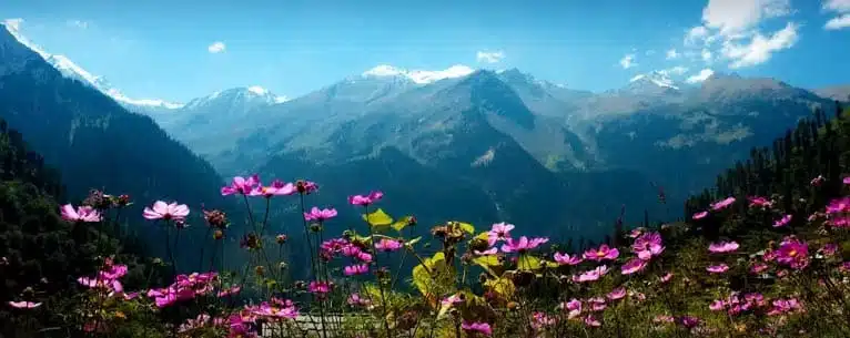 best destinations to visit in India in April