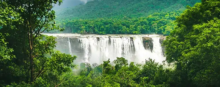 Eco-Tourism in Kerala